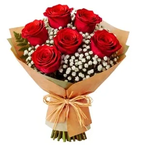 Buquê de 6 Rosas Vermelhas