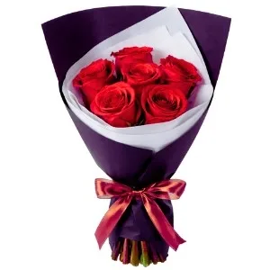 Elegância de Amor