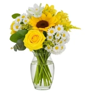 Festa das Flores