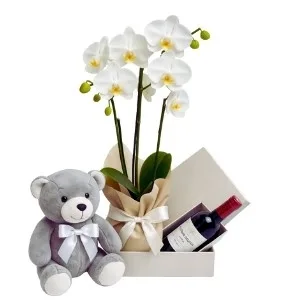 Orquídea Branca para Presente: Acompanha Pelúcia e Vinho Tinto Importado