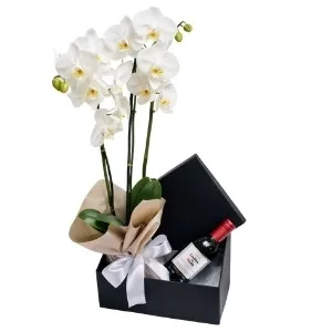 Orquídea para Presente: Acompanha Vinho Tinto Importado