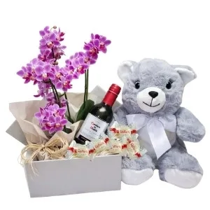 Orquídea Rosa para Presente: Acompanha Pelúcia, Vinho Tinto Importado e Chocolate Raffaello