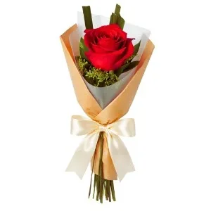 Rosa Solitária Vermelha