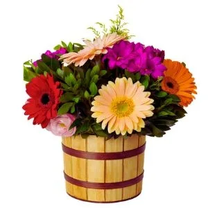 Arranjo de Gérberas e Flores do Campo