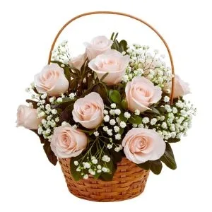 Cesta de 12 Rosas Rosadas