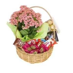 Cesta de Chocolates e Flor da Fortuna