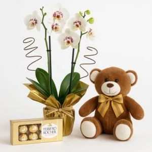 Orquídea Branca com Pelúcia e Ferrero Rocher