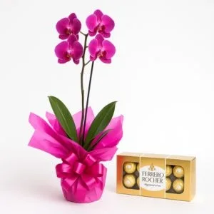 Orquídea Phalaenopsis Rosa com Bombons Ferrero Rocher