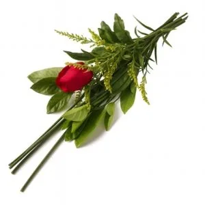 Rosa Unitária Embalada para Presente