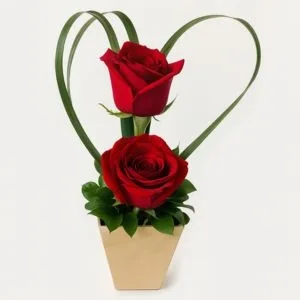 Amore Mio