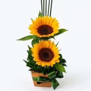 Arranjinho Raio de Sol
