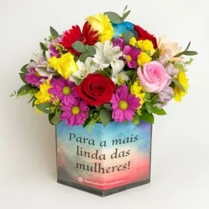 Box a Mais Linda das Mulheres