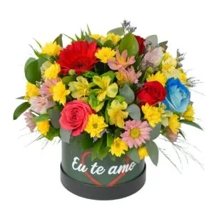 Box Colorindo o Amor