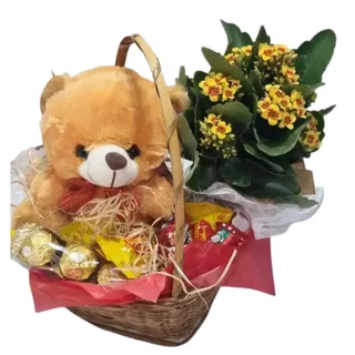 Cesta Urso e Chocolates