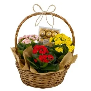 Jardim Doce Alegre