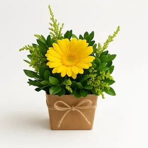 Mimo de Gerbera