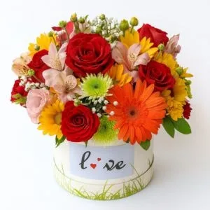 Mini Box Florescer
