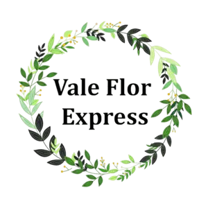 Logo da vitrine Floricultura Vale Flor