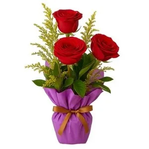 Arranjo de 3 Rosas Vermelhas no Floral