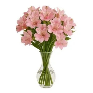 Arranjo de Astromélias Rosadas no Vaso de Vidro