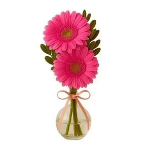 Arranjo de Gérberas Rosadas no Vaso de Vidro