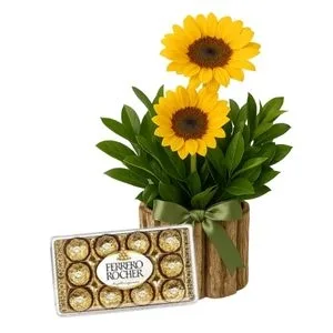 Arranjo de Girassóis no Cachepô com Ferrero Rocher