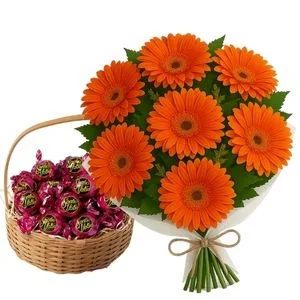 Buquê de 7 Gérberas Laranja com Sonho De Valsa