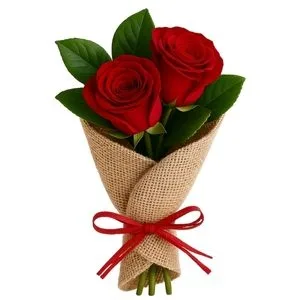 Ramalhete de 2 Rosas Vermelhas