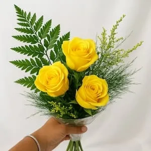 3 Rosas Amarelas