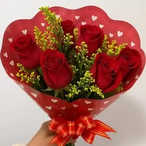 6 Rosas Vermelhas