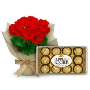 Begônia Vermelha e Ferrero Rocher