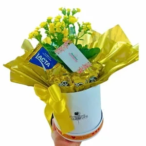 Box Ouro Branco amp; Carinho