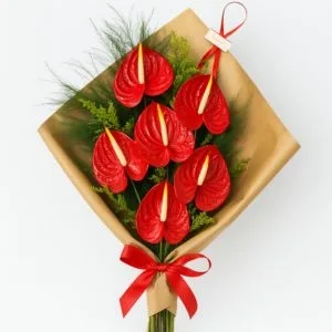 Buquê de Antúrio Vermelho