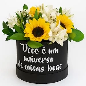 Caixa Luxo Solar