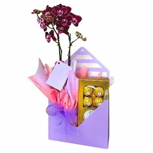 Envelope Orquídea Mágica