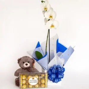 Orquídea Branca com Urso de Pelúcia e Chocolates Ferrero Rocher