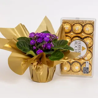 Violeta com Caixa de Chocolates Ferrero Rocher