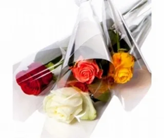 100 Rosas Coloridas Embaladas No Papel Celofane