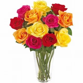 12 Rosas Colombianas Coloridas No Vaso