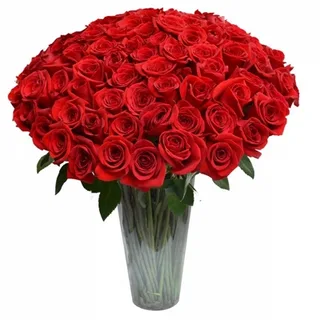 Arranjo Com 100 Rosas Colombianas