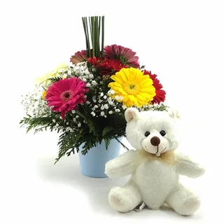 Arranjo De 10 Gérberas Coloridas Carinho Para Ele + Urso