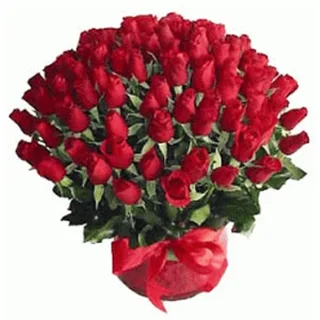 Arranjo De 100 Rosas Vermelhas Amor Profundo