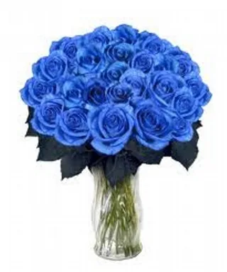 Arranjo De 20 Rosas Azuis Blue