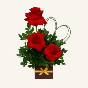 Arranjo de 3 Rosas Vermelhas em Cachepô