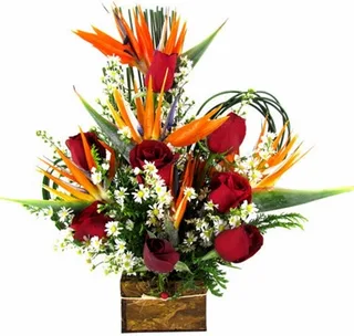 Arranjo De Flores Estrelar