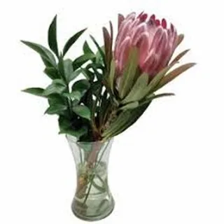 Arranjo De Protea No Vaso E Folhagens