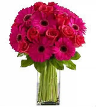 Arranjo De Rosas E Gérberas Choque De Amor