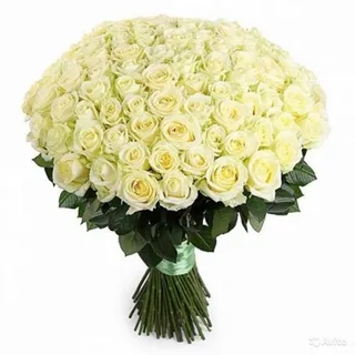 Buquê De 100 Rosas Extravagante Neve