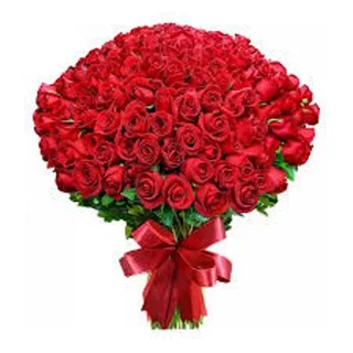 Buquê De 300 Rosas Vermelhas Explosão De Amor Especial