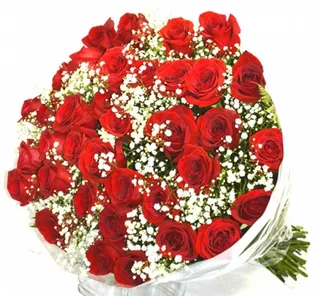 Buquê De 36 Rosas Vermelhas Tentação